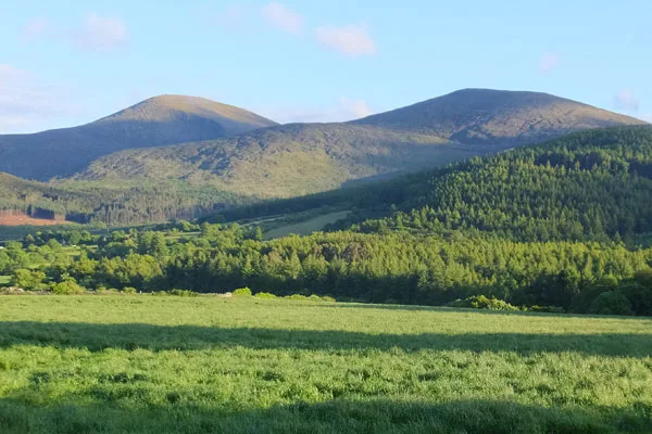 Mourne Mountains trekking path