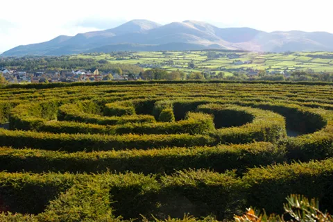 The Peace Maze at Castlewellan Forest Park